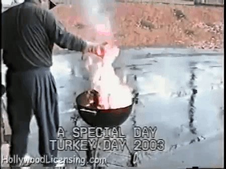 Don't be like this guy. To avoid a call to the fire department, cook your turkey in the oven. Internal temperature should be 165 degrees for 15 seconds. Wait 20 minutes before you carve. CT Department of Emergency Services and Public Protection | Connecticut Department of Consumer Protection