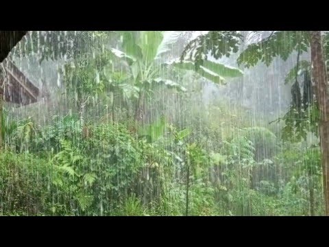 🌙 The World's Most Realistic Heavy Rain Sounds! 100% Effective for Sleep & Relaxation