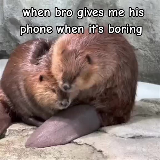 The Bond Between Real Friends: A Helping Hand