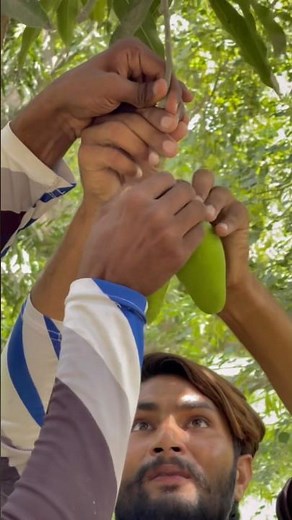 Technologiya😂😂✅#shortvideos #funny #viral #shorts #ytshorts #fyznrao