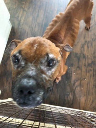 عالم الحيوانات sur TikTok