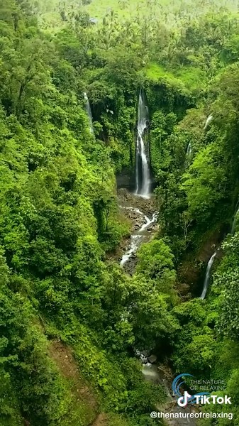 4K Nature Scenery with Ambient ASMR - Relaxing Forest & Birds