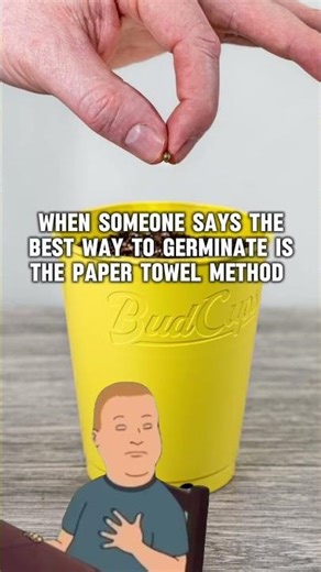 🌱 24 hour soak; then directly sow into your media🌱