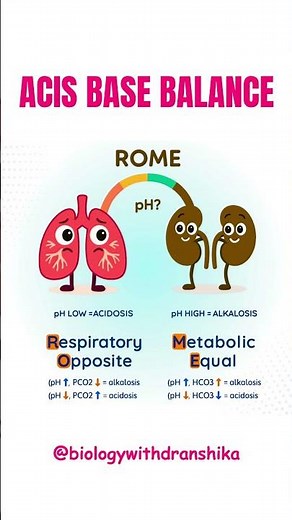 Acid-Base Balance: The Key to Body’s Equilibrium! #acidbasebalance #homeostasis #bodyphysique