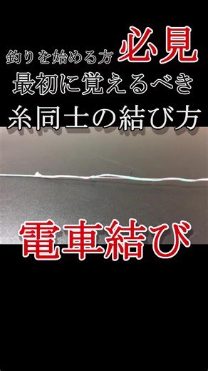 こんにちは❗️フィッシング遊です🎣 釣りを始める方必見❗️最初に覚えるべき糸の結び方『電車結び』もし釣りを始めたいけど、結び方が分からなかったりする方は参考にしてください✨ 糸と糸を結ぶなんてどこで使うん❓ って方❗️ ・ウキフカセ釣りでハリスを結ぶとき ・PEラインを使って先糸を結ぶとき 等に使います❗️ 是非参考にしてみて下さい🤩 #フィッシング遊#釣り#釣り初心者 #釣り入門#釣り始めました#釣り動画 #釣りノウハウ#ノット#釣り糸結び方