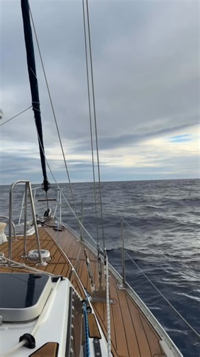 Cloudy and windy weather got you feeling blue? When the swells get bigger and the water gets choppy, it’s actually one of the best times to spot humpback whales because they tend to get extra active 🐋 Whether you book a charter with us to see them close up, or try to spot some from shore, be sure to get out in nature and enjoy these beautiful creatures while they are the most active during their peak season! . . . #sailing #hawaii #humpbackwhale #waikiki #hawaiiadventures | Sailing Beauty Of Ho