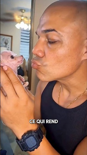 Le Chien le Plus Petit au Monde