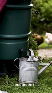 Récupérez l'eau de pluie : un geste simple pour économiser l'eau ! 💧