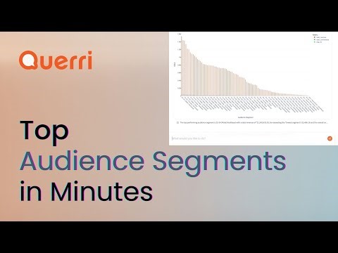 Identify Top Audience Segments in Minutes | Marketing & ROI Analysis Using Querri