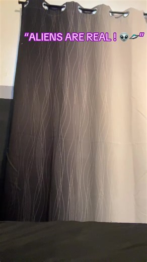 Are they real Donald ?? 😉🛸 #cookiemonster #aliens #trump #pluto #viral