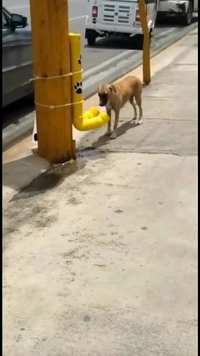 Es excelente lo que han hecho en Rep Dom😱 #reelsfypシ゚ #reelsviral #tendencia #fyp #reels #viral | La cocinera Studio