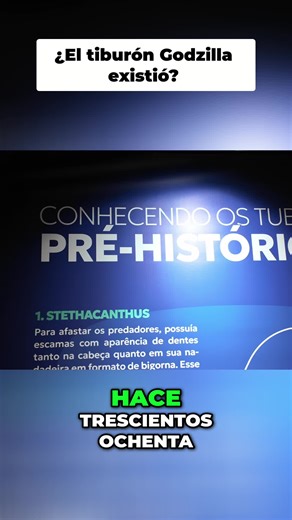 Tiburones prehistóricos que te harán temblar. ¡El Tubarão Godzilla es real! 🦈😱 #facts #tiburones #datoscuriosos #riodejaneiro #brasil