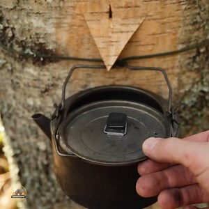 2.3M views · 10K reactions | 2 Day SOLO in Hammock, Primitive Skills WATER from Tree, DAKOTA Fire Hole, Birch Bark Container.#survival #adventure #wilderness #camping #bushcraftcamping​ #logcabin #cabin | Elaine Schroeder | Facebook