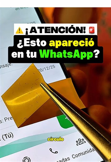 Trucos de WhatsApp y Tips para tu Celular que Sorprenden