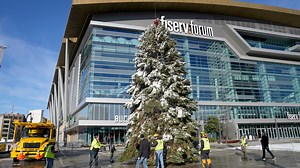 City of Milwaukee annual Christmas tree harvested, Wednesday