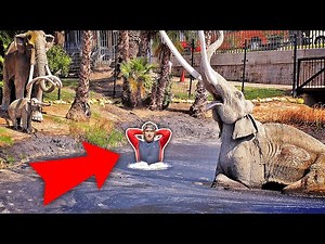 I Swam in the La Brea Tar Pit