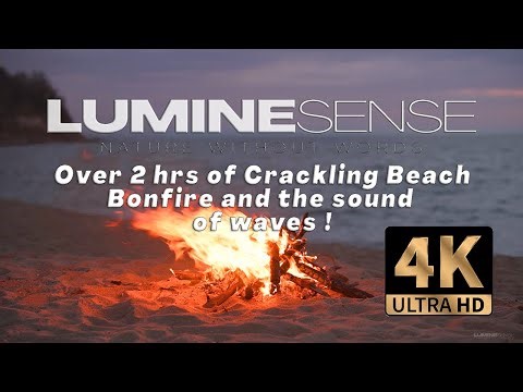 Relaxing 4k Beach Bonfire with the sound of Waves and a Crackling Fire!
