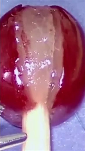 Why This Robot is Stitching a Corn Kernel 🌽, Grape and Egg #subscribe