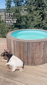 73K views · 1.5K reactions | DIY a Off-Grid Stock Tank Hot Tub 欄♨️...