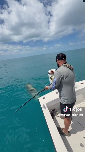 Big Hooks Catch BIG Fish!😳 #fish #fishing #hook #grouper #ocean | goliath grouper