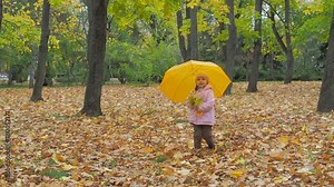 A child with a yellow umbrella is walking in an autumn park. Little girl is walking with an umbrella in the park.
