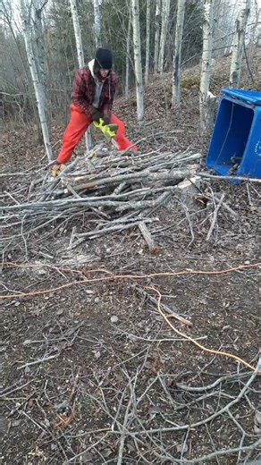 20 mins in 60 seconds from Live Sawing logs for Firewood