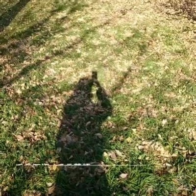 千言万语 / 千言萬語 qian yan wan yu (华/pinyin) | Smule