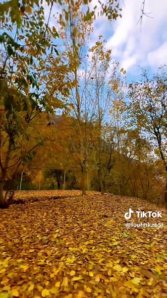 Autumn Serenity: Captivating Natural Landscapes