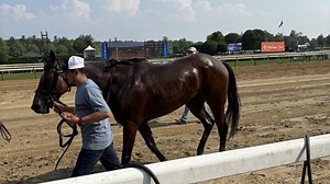 Belmont Stakes to return to Saratoga for a final year in 2026 amid Belmont Park rebuild