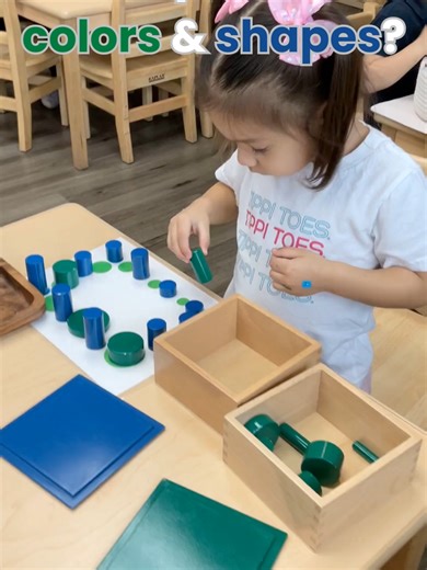 POV: You’re watching a child master visual discrimination. These are the Montessori Knobless Cylinders. She’s combining the Green set—where height goes UP as width goes DOWN—with the Blue set. This creates a complex mental puzzle that prepares her brain for math later on. Look at that concentration!