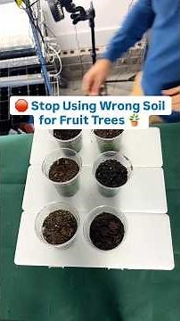 Stop Using the Wrong Soil for Container Fruit Trees #fruittrees #containergardening #growyourownfood