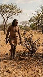 A solitary prehistoric Homo habilis is unknowingly followed across the vast African savanna. Pt. 3