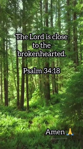 ✝️The Lord Is Close to the Brokenhearted 💔Psalm 34:18 #verseaday #bibleverse #trustgod #motivation
