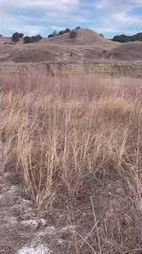 A walk in Sage Creek #badlandsnationalpark