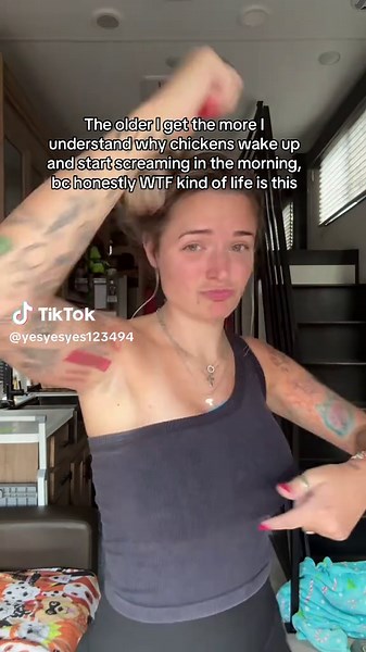 Understanding Chickens' Morning Behavior