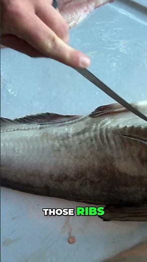 Filleting a Fish: From Ribs to Anal Fin Technique #shorts