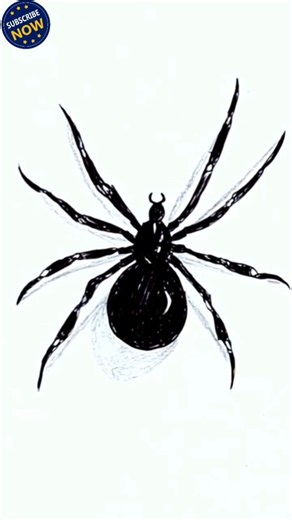 Draw This Spider If You Dare 🕷️😱 | Easy Creepy Spider Drawing #shorts