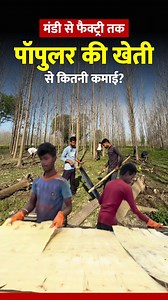 60K views · 652 reactions | Agroforestry in India is booming, with...