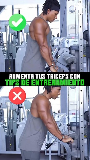 TRICEPS mas entrenados con estos tips básicos de entrenamiento �🏋️ Combina ejercicios compuestos y de aislamiento* Realiza movimientos como fondos en paralelas, press cerrado y extensiones con polea para trabajar todas las cabezas del tríceps.2. 📏 Mantén los codos cerca del cuerpo* En ejercicios como extensiones con mancuerna o polea, evita abrir demasiado los codos para maximizar la activación del tríceps.3. 🔄 Controla el rango de movimiento* Baja completamente en cada repetición y estira bi