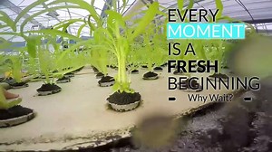52K views · 1.9K reactions | Our next Online Aquaponics Design Course will begin next year on March 11, 2018. Now is the time to prepare yourself for the great adventure! Go to www.aquaponicsdesigncourse.com for more information. | Aquaponics Design Course | Facebook