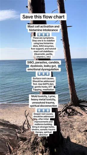 Save this flow chart. Were you told by a practitioner to start at step 3 before you’ve even done step 1? The key for resolving histamine and mast cell issues is to see it as a long term, step by step process so you don’t overwhelm your system. The good news is that we support people on all steps of their journey, through the most basic nutritional interventions to nervous system regulation to deeper and more advanced detox support. You can join our community today at whole body healing with Jen 