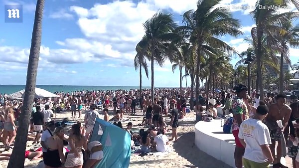Bikini-clad girls box each other as booze-fueled Spring Breakers hit FL beaches