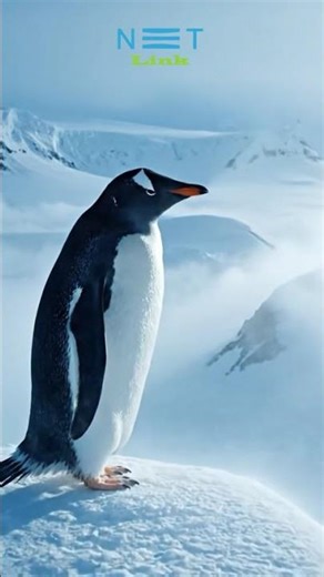 I was on a mission to find my Wi-Fi clan — where high-speed Wi-Fi truly lives.