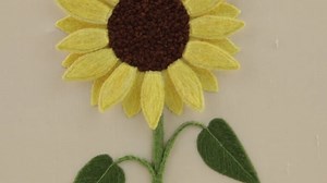 Stumpwork: Raised Embroidery Essentials