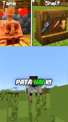 “2 Hidden Tricks Mojang Never Told You 🤯 #shorts #minecraft