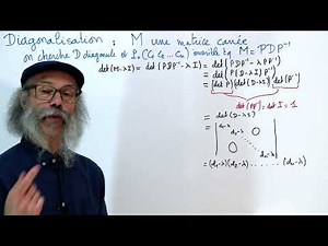 ALGC8 : Diagonalisation des matrices carrées, de quoi s'agit-il au juste ?