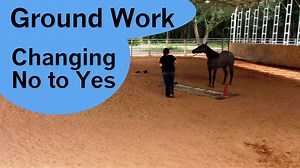 Many people get in trouble doing ground work because they really don't understand what the ground work is suppose to be teaching. In this video you will see up doing a lot of the same ground work you see other people do. What is different is talking about why we are doing each thing and what we are teaching. | Tim Anderson Horse Training