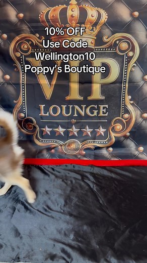 3 comments | I’m absolutely PROUD to be an Ambassador for Poopys Boutique handmade. luxury dog clothes and accessories. Guess what this means ………….. All my friends get a 10% Discount code Using: wellington10 https://www.poopysboutiquehandmade.co.uk/ | Helen Turner | Facebook