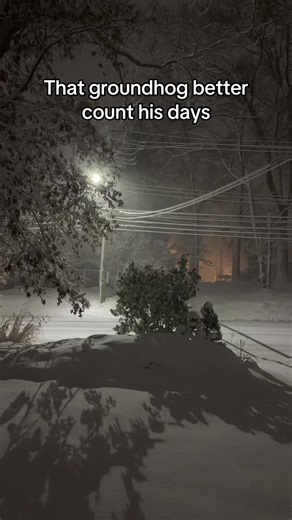 What do mean upgraded to 18-24 inches? Plz I’m so tired #nj #ny | groundhog