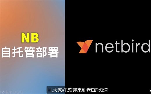 高度易用：自托管部署Netbird组建虚拟网络，个人、小型团队均可用，忘掉Scale